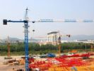 China Professional Manufacture Tower Crane Qtz50 (Tc5008) 